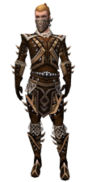 Ranger Elite Kurzick armor m.jpg
