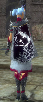 Guild Ep And Friends cape.jpg