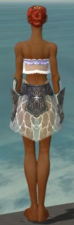 Elementalist Stormforged armor f gray back arms legs.jpg