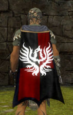 Guild The Phoenix Legend cape.jpg