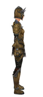 Warrior Wyvern armor f dyed right.jpg