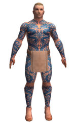 Monk Dragon armor m dyed front.jpg