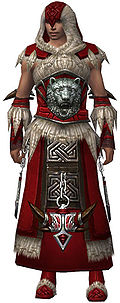 Dervish Norn armor m.jpg