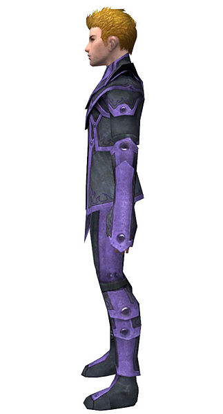 File:Elementalist Krytan armor m dyed left.jpg