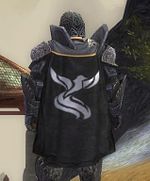 Guild Masters Of Serenity cape.jpg