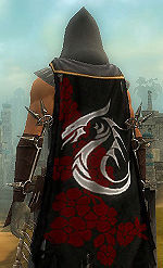 Guild Tales Of Dragons cape.jpg