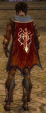 Guild The Fire Of The Shadow cape.jpg