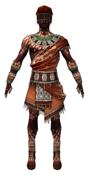 File:Ritualist Elite Exotic armor m dyed front.jpg