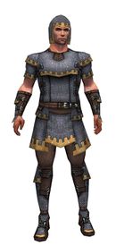 Warrior Tyrian armor m.jpg