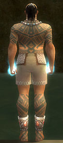 Monk Labyrinthine armor m gray back chest feet.jpg