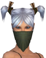 Ranger Simple Mask f gray front.png