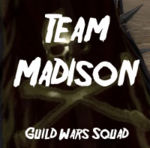 Guild Team Madison cape.jpg