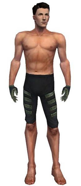 File:Mesmer Elite Kurzick armor m gray front arms legs.png