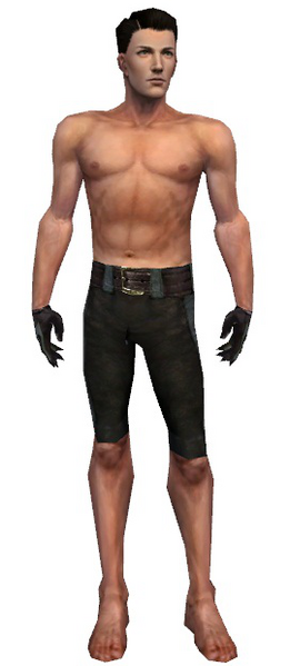File:Mesmer Performer armor m gray front arms legs.png