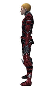 Necromancer Elite Profane armor m dyed left.jpg