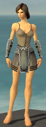Warrior Istani armor f gray front arms legs.jpg