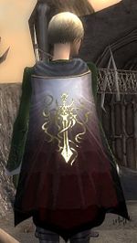 Guild Lord Of The Mysticisme cape.jpg