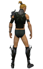Assassin Elite Luxon armor m gray back chest feet.png
