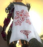 Guild Enigmatic Minds cape.jpg