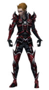 Necromancer Elite Profane armor m.jpg