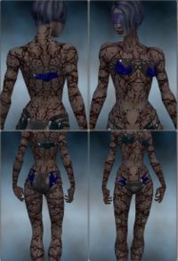 Screenshot Necromancer Elite Scar Pattern f dyed Blue.jpg