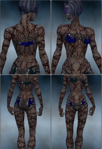 File:Screenshot Necromancer Elite Scar Pattern f dyed Blue.jpg
