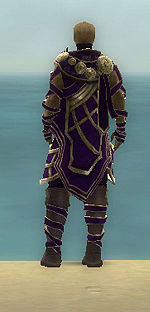 Vision of Lyssa costume m purple back.jpg