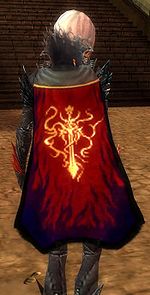 Guild Power Of The Elements cape.jpg
