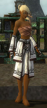 Monk Kurzick armor f white front arms legs.jpg