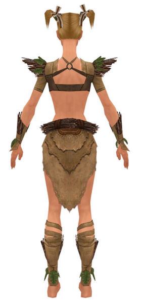 File:Ranger Elite Druid armor f dyed back.jpg