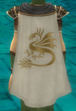 Guild Dragon Estos cape.jpg