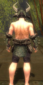 Warrior Elite Charr Hide armor m gray back arms legs.jpg