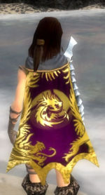 Guild Virtual Dragons cape.jpg