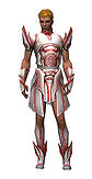 Paragon Asuran armor m.jpg