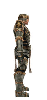 Warrior Sunspear armor m dyed right.jpg