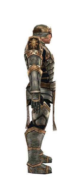 File:Warrior Sunspear armor m dyed right.jpg