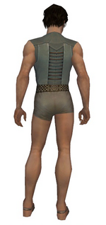 Dervish Istani armor m gray back chest feet.png