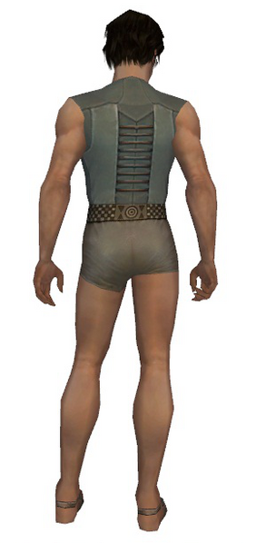 File:Dervish Istani armor m gray back chest feet.png
