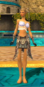 Elementalist Monument armor f gray front arms legs.jpg