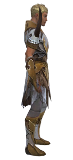 Paragon Norn armor m dyed right.png