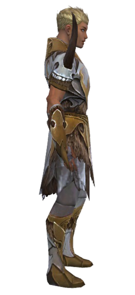 File:Paragon Norn armor m dyed right.png