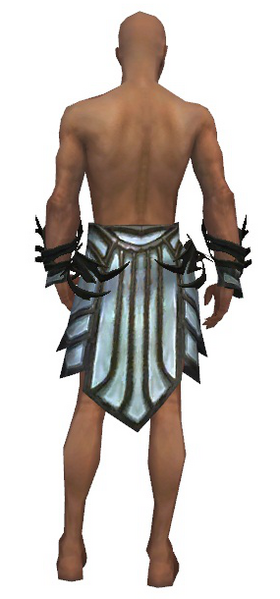 File:Paragon Primeval armor m gray back arms legs.png