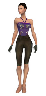 Mesmer Istani armor f gray front arms legs.png