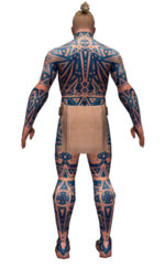 Monk Star armor m dyed back.jpg