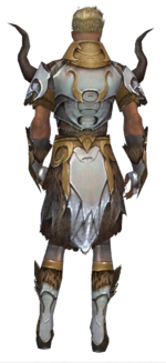 Paragon Norn armor m dyed back.png