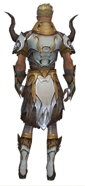 File:Paragon Norn armor m dyed back.png