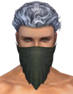 Ranger Simple Mask m gray front.png