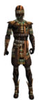Ritualist Elite Luxon armor m.jpg