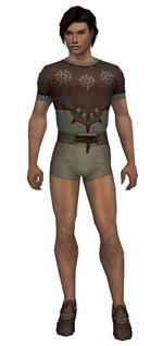 Dervish Sunspear armor m gray front chest feet.png