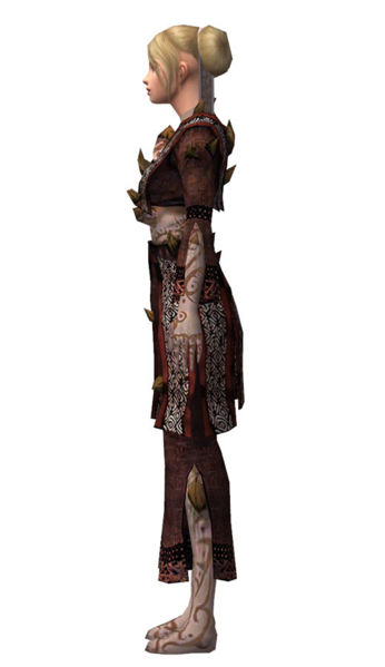 File:Monk Primeval armor f dyed left.jpg